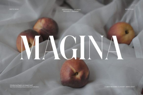 Magina: A Sophisticated Serif Font for Web Design